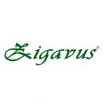 Zigavus